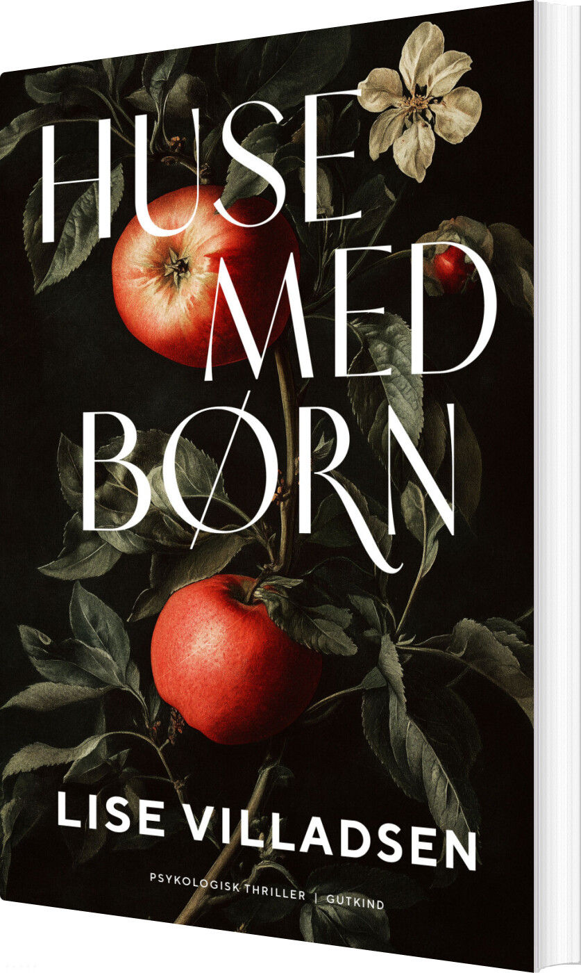 Huse Med Børn - Lise Villadsen - Bog