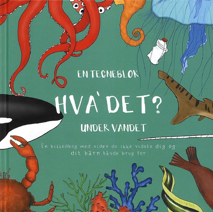 Hva' Det? - Anna Viskinde - Bog