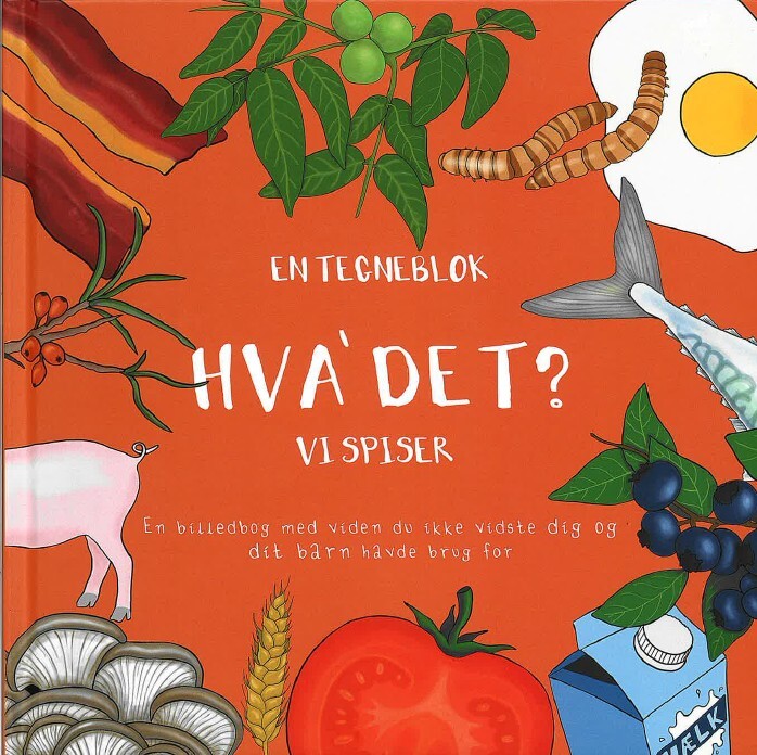Hva' Det? - Anna Viskinde - Bog