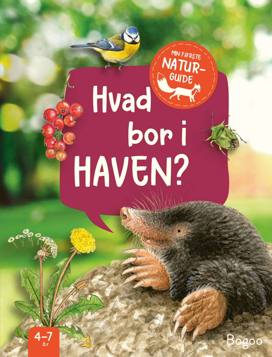 Billede af Hvad Bor I Haven? - Julia Hiller - Bog