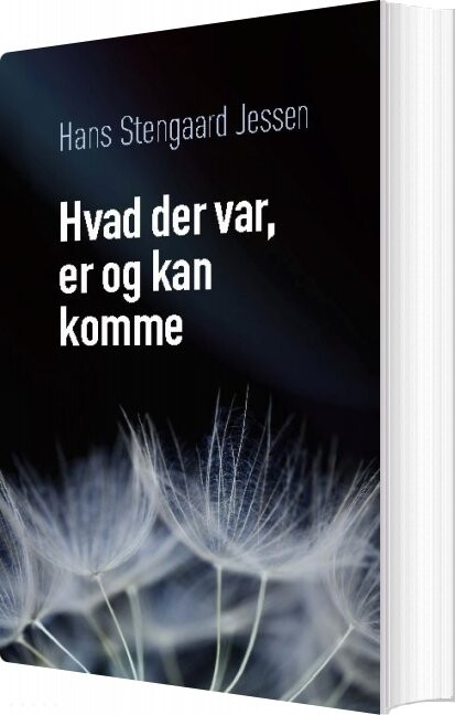 Billede af Hvad Der Var, Er Og Kan Komme - Hans Stengaard Jessen - Bog