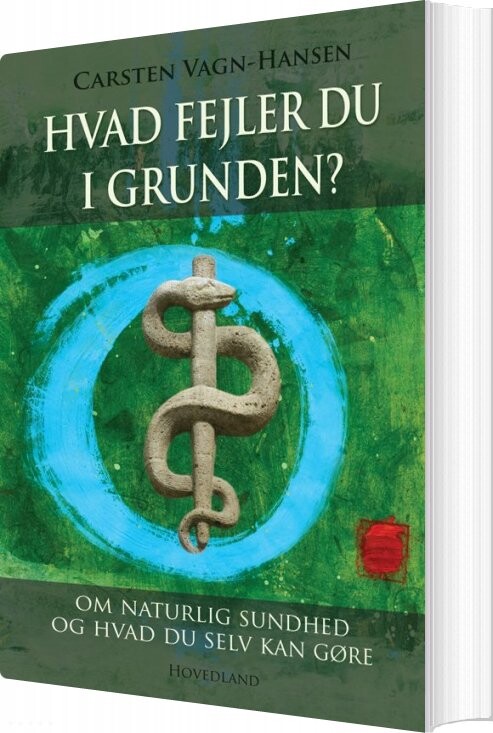 Billede af Hvad Fejler Du I Grunden? - Carsten Vagn-hansen - Bog