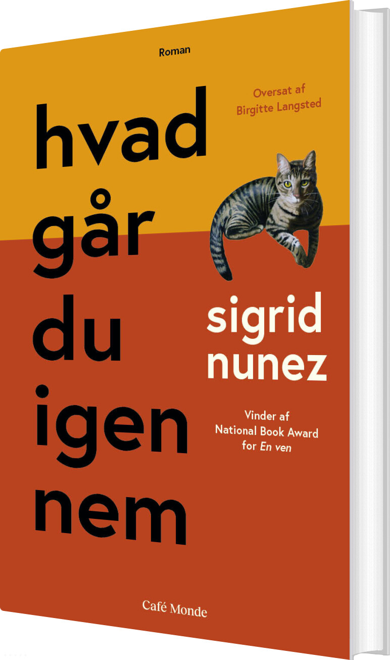 Billede af Hvad Går Du Igennem - Sigrid Nunez - Bog