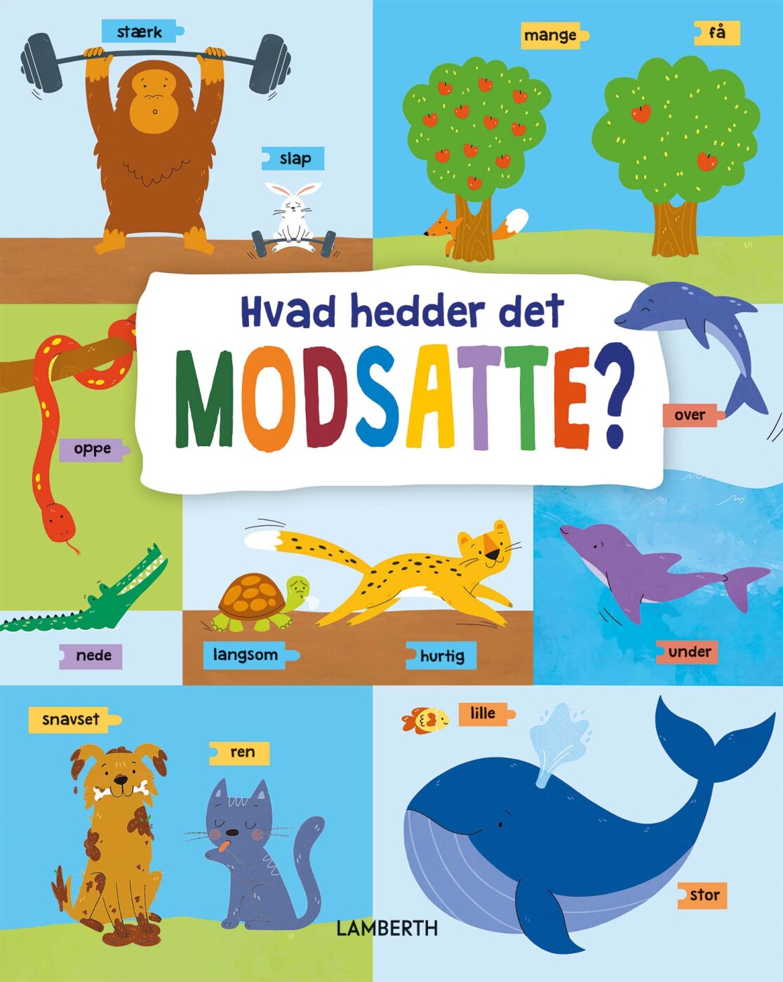 Hvad Hedder Det Modsatte? - Anna Mazepa - Bog