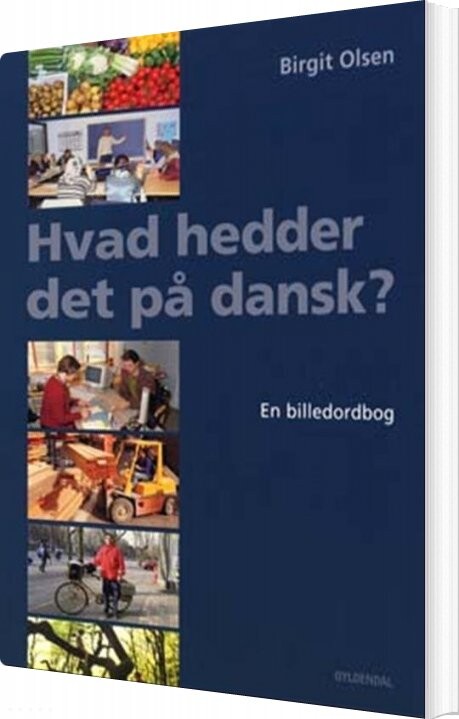 Hvad Hedder Det På Dansk? - Birgit Olsen - Bog