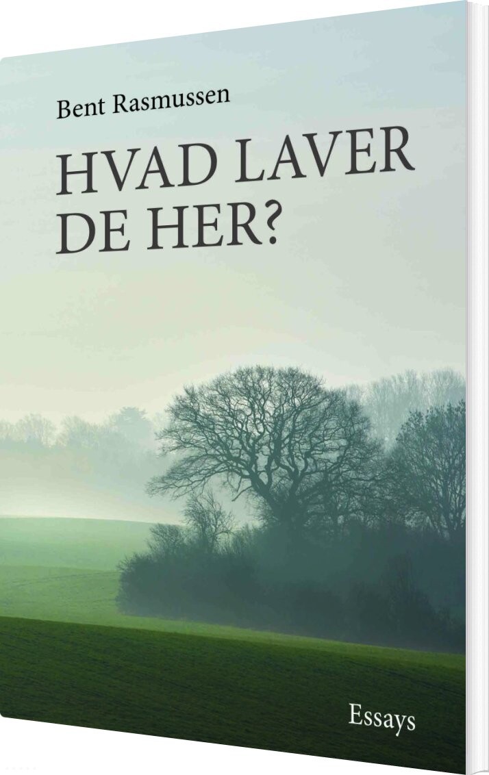 Billede af Hvad Laver De Her? - Bent Rasmussen - Bog