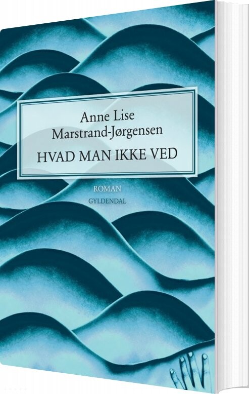 Billede af Hvad Man Ikke Ved - Anne Lise Marstrand-jørgensen - Bog