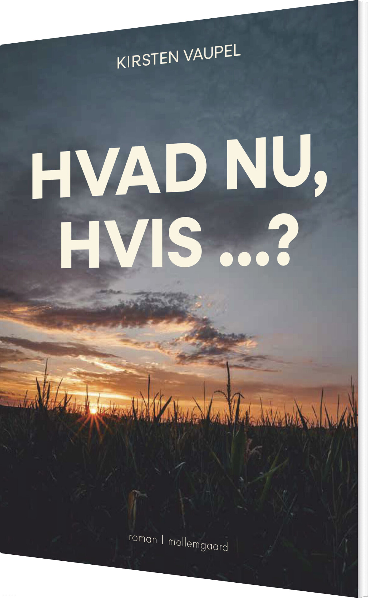 Hvad Nu, Hvis ? - Kirsten Vaupel - Bog