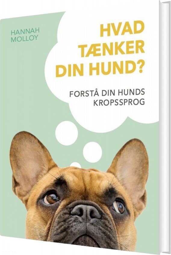 Athletic puls mager Hvad Tænker Din Hund? af Hannah Molloy - Indbundet Bog - Gucca.dk