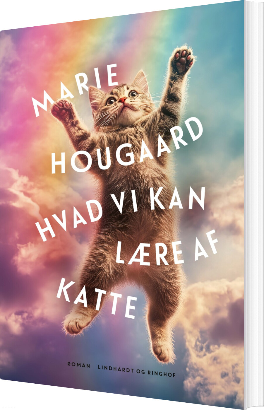 Hvad Vi Kan Lære Af Katte - Marie Hougaard - Bog