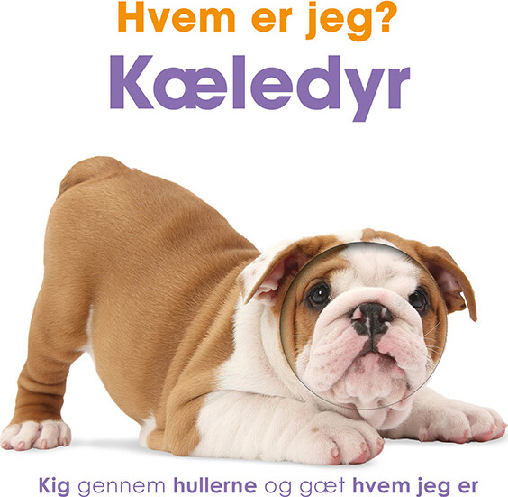 Hvem Er Jeg? Kæledyr - Bog