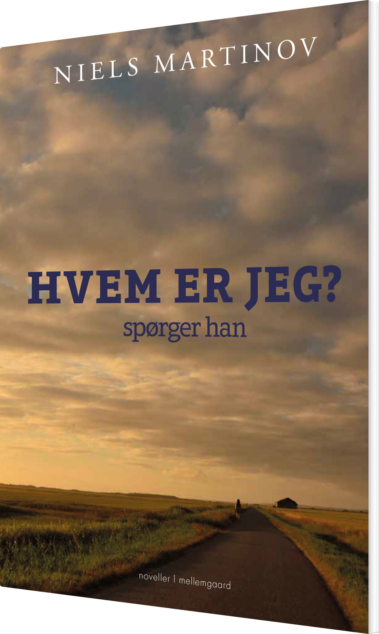 Hvem Er Jeg? Spørger Han - Niels Martinov - Bog