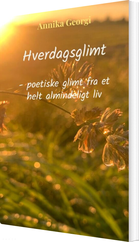 Hverdagsglimt - Annika Georgi - Bog
