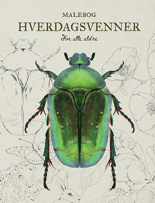 Hverdagsvenner - Stor Malebog - Mathilde Vesterherup - Bog - Maladroit