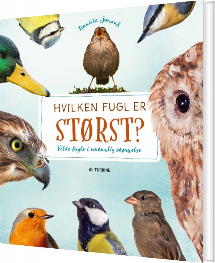 Billede af Hvilken Fugl Er Størst? - Daniella Strauss - Bog
