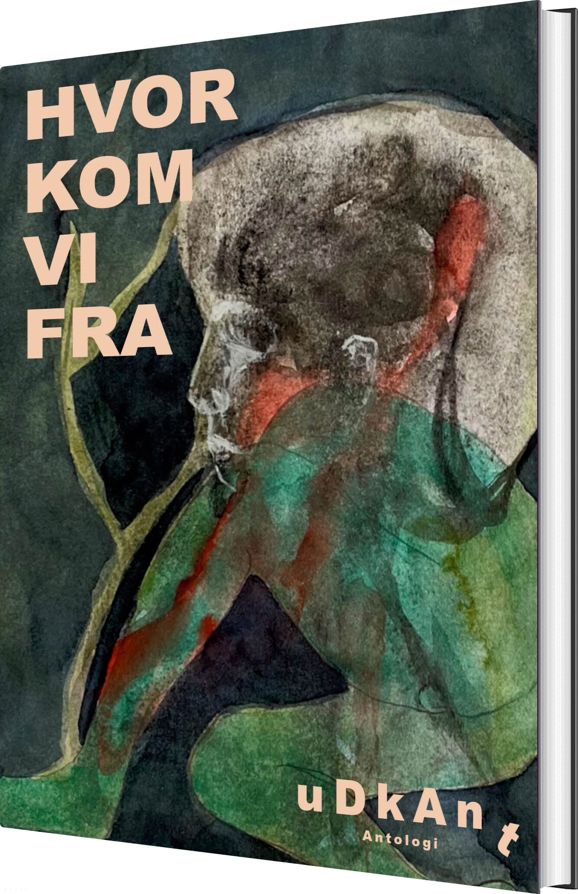Billede af Hvor Kom Vi Fra - Diverse - Bog