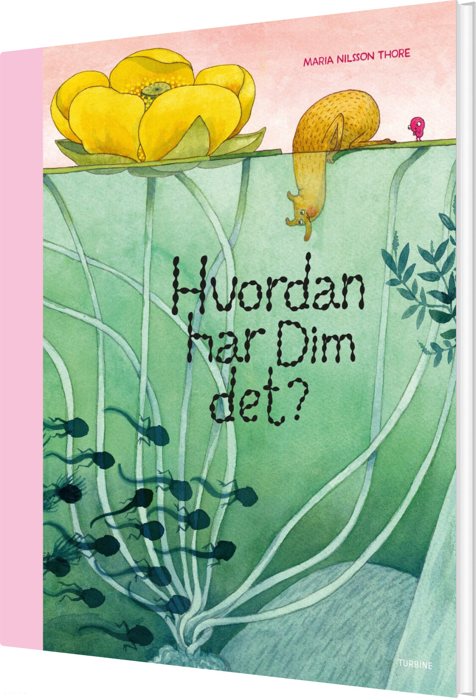 Hvordan Har Dim Det? - Maria Nilsson Thore - Bog