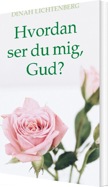 Billede af Hvordan Ser Du Mig, Gud? - Dinah Lichtenberg - Bog