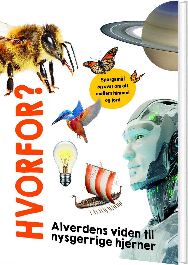 Hvorfor? Alverdens Viden Til Nysgerrige Hjerner - Bog