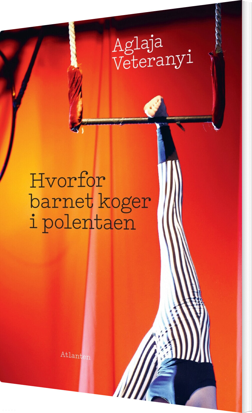 Billede af Hvorfor Barnet Koger I Polentaen - Aglaja Veteranyi - Bog