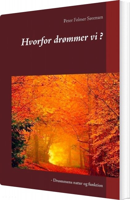 Billede af Hvorfor Drømmer Vi ? - Peter Folmer Sørensen - Bog