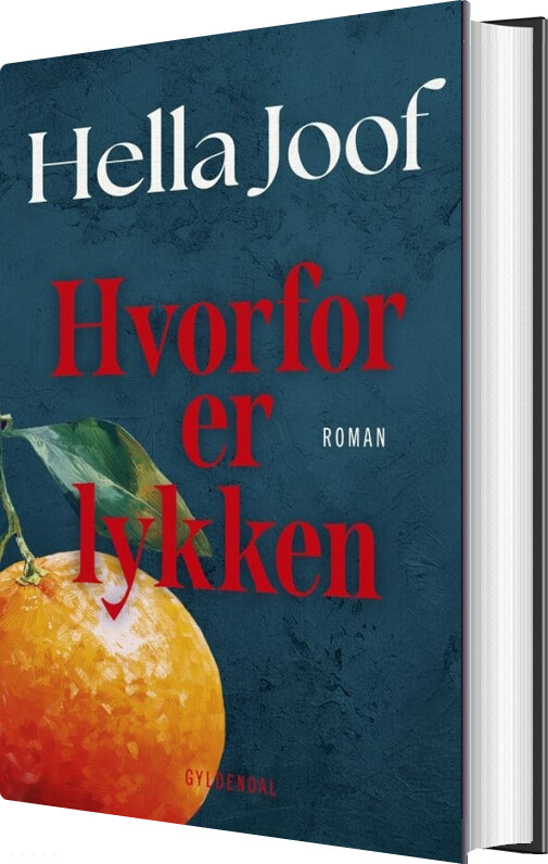 Hvorfor Er Lykken - Hella Joof - Bog