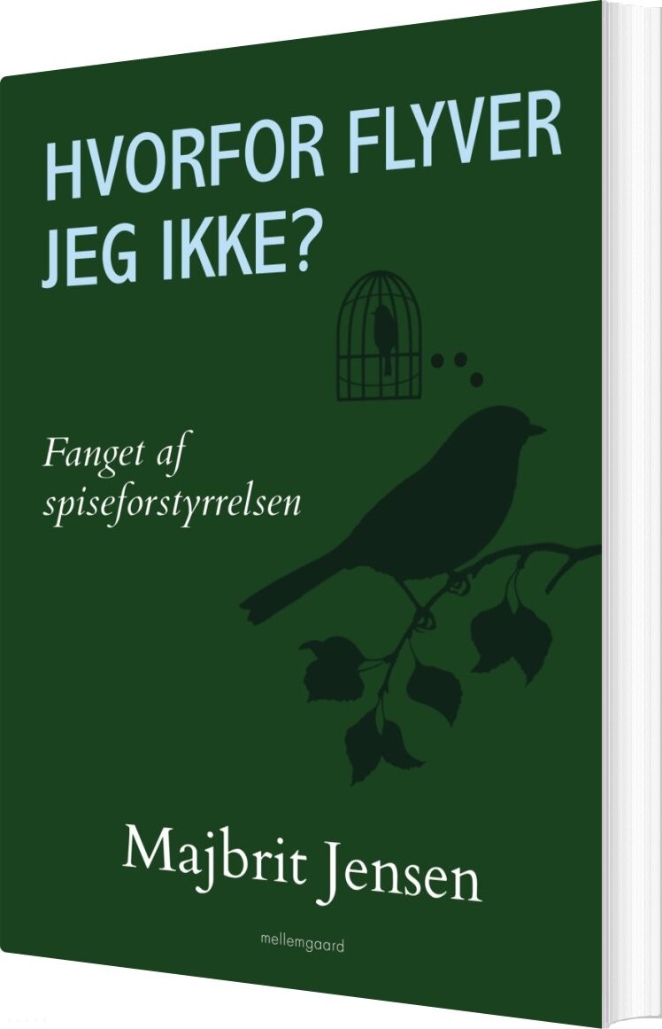 Hvorfor Flyver Jeg Ikke? - Majbrit Jensen - Bog