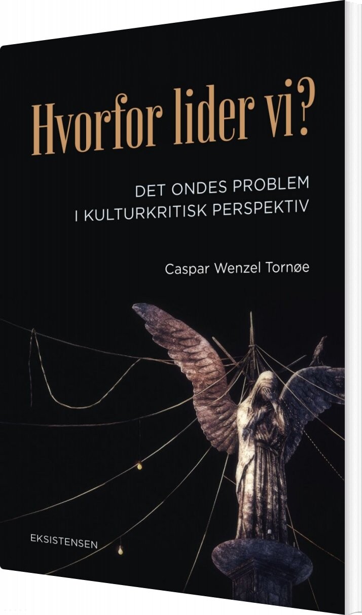 Billede af Hvorfor Lider Vi? - Caspar Wenzel Tornøe - Bog