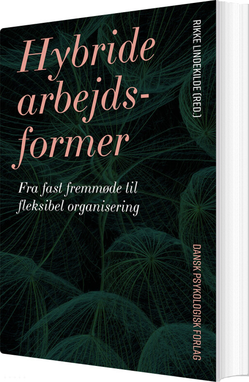 Hybride Arbejdsformer - Rikke Lindekilde - Bog