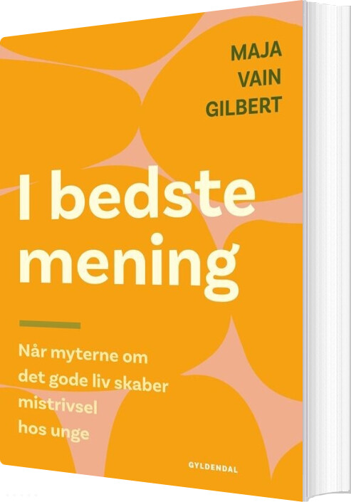 Billede af I Bedste Mening - Maja Vain Gilbert - Bog