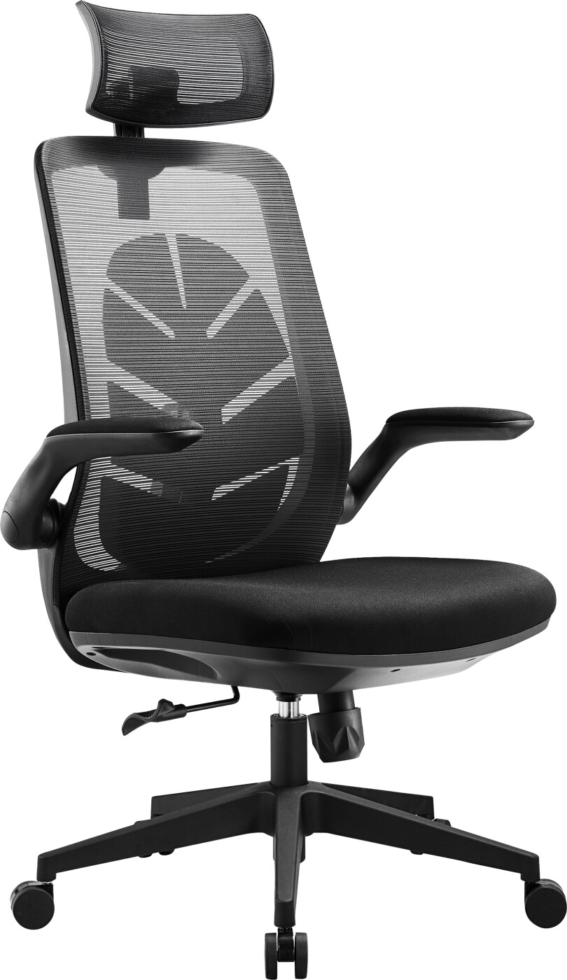 I-care Leaf Mesh + Black