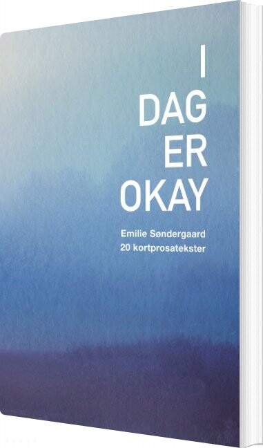 Billede af I Dag Er Okay - Emilie Søndergaard - Bog