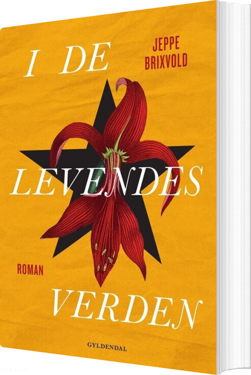 Billede af I De Levendes Verden - Jeppe Brixvold - Bog