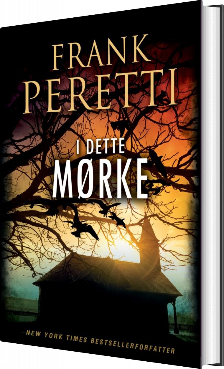 I Dette Mørke - Frank Peretti - Bog