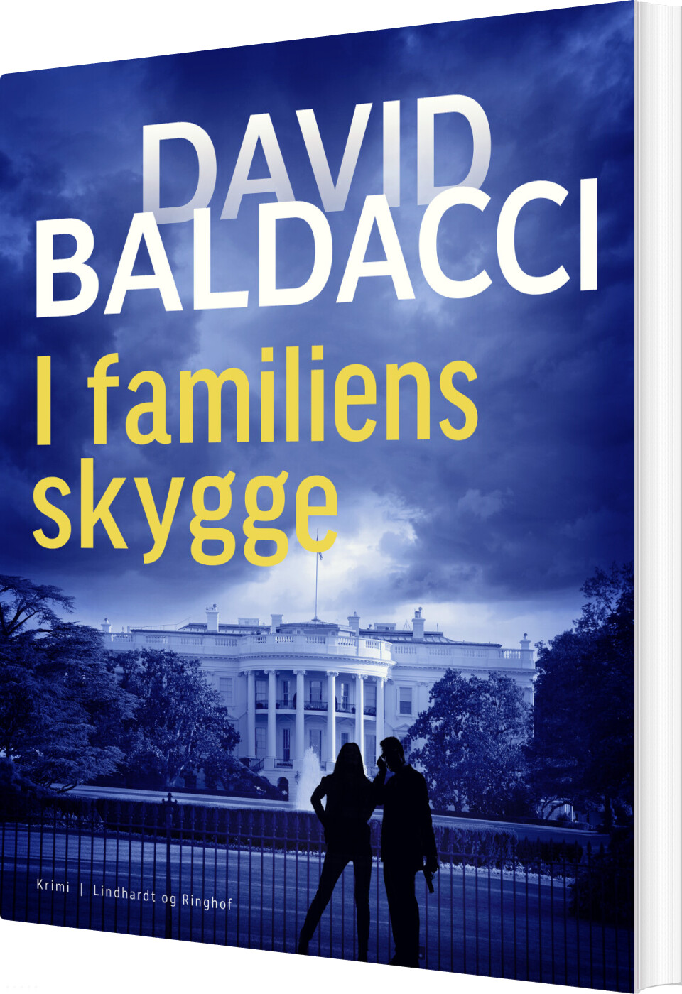I Familiens Skygge - David Baldacci - Bog
