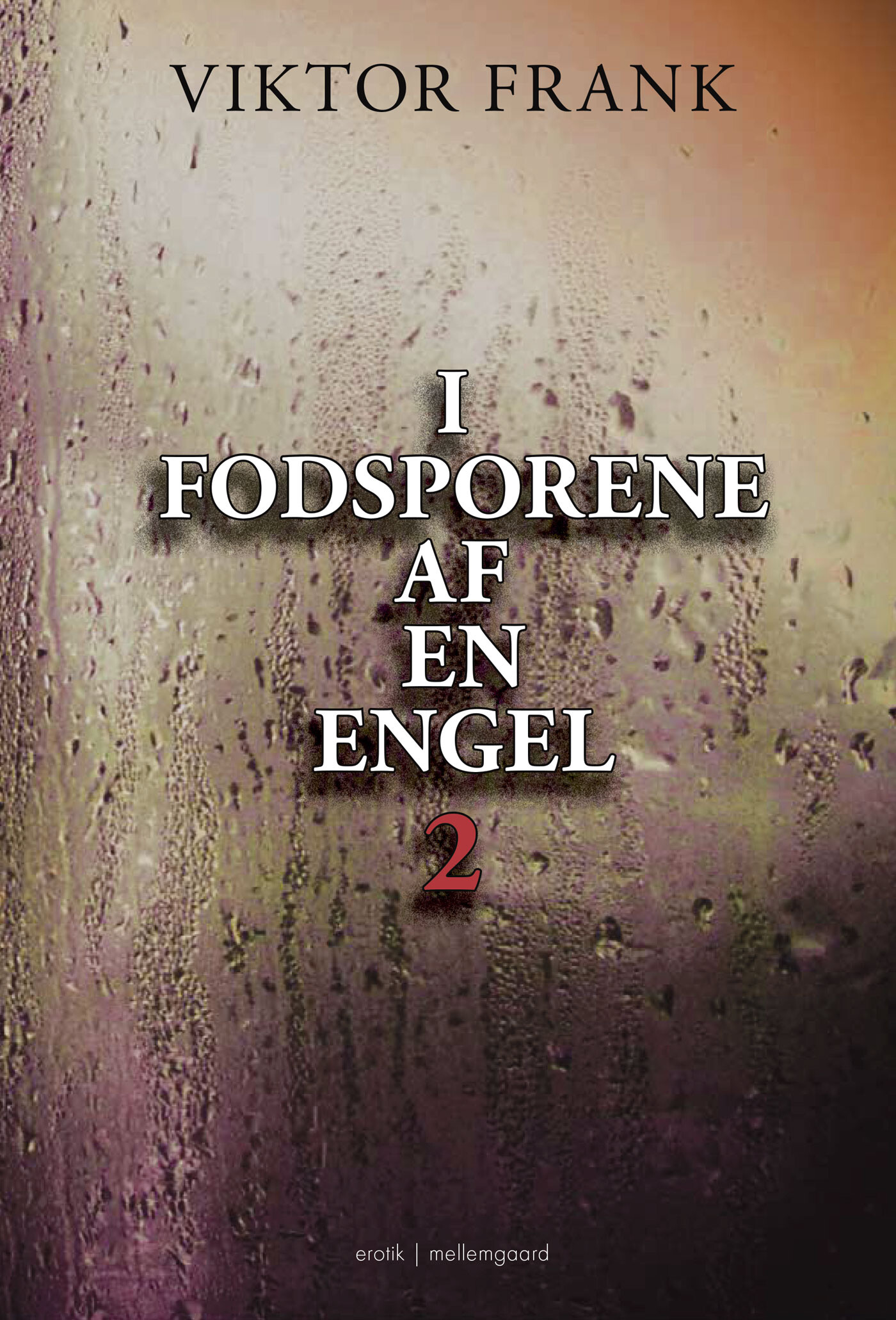 I Fodsporene Af En Engel 2 - Viktor Frank - Bog - Mellemgaard