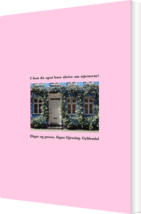 Billede af I Kan Da Også Bare Skrive Om Stjernerne! - Signe Gjessing - Bog