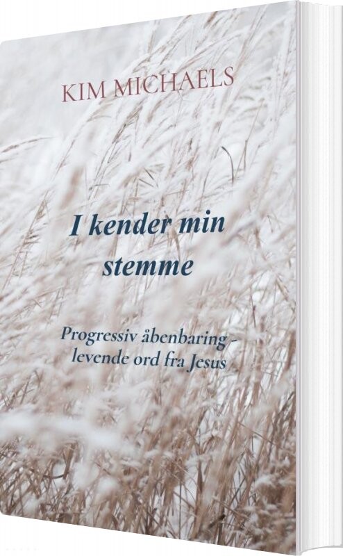 Billede af I Kender Min Stemme - Kim Michaels - Bog