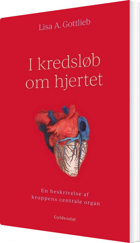 I Kredsløb Om Hjertet - Lisa A. Gottlieb - Bog