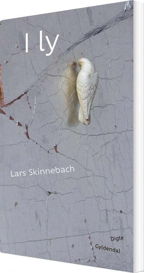 I Ly - Lars Skinnebach - Bog