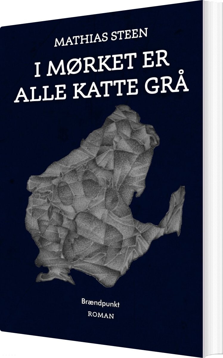Billede af I Mørket Er Alle Katte Grå - Mathias Steen - Bog