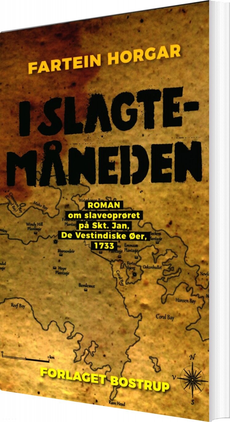 Billede af I Slagtemåneden - Fartein Horgar - Bog