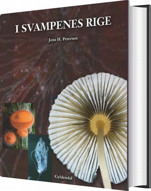 Billede af I Svampenes Rige - Jens H. Petersen - Bog