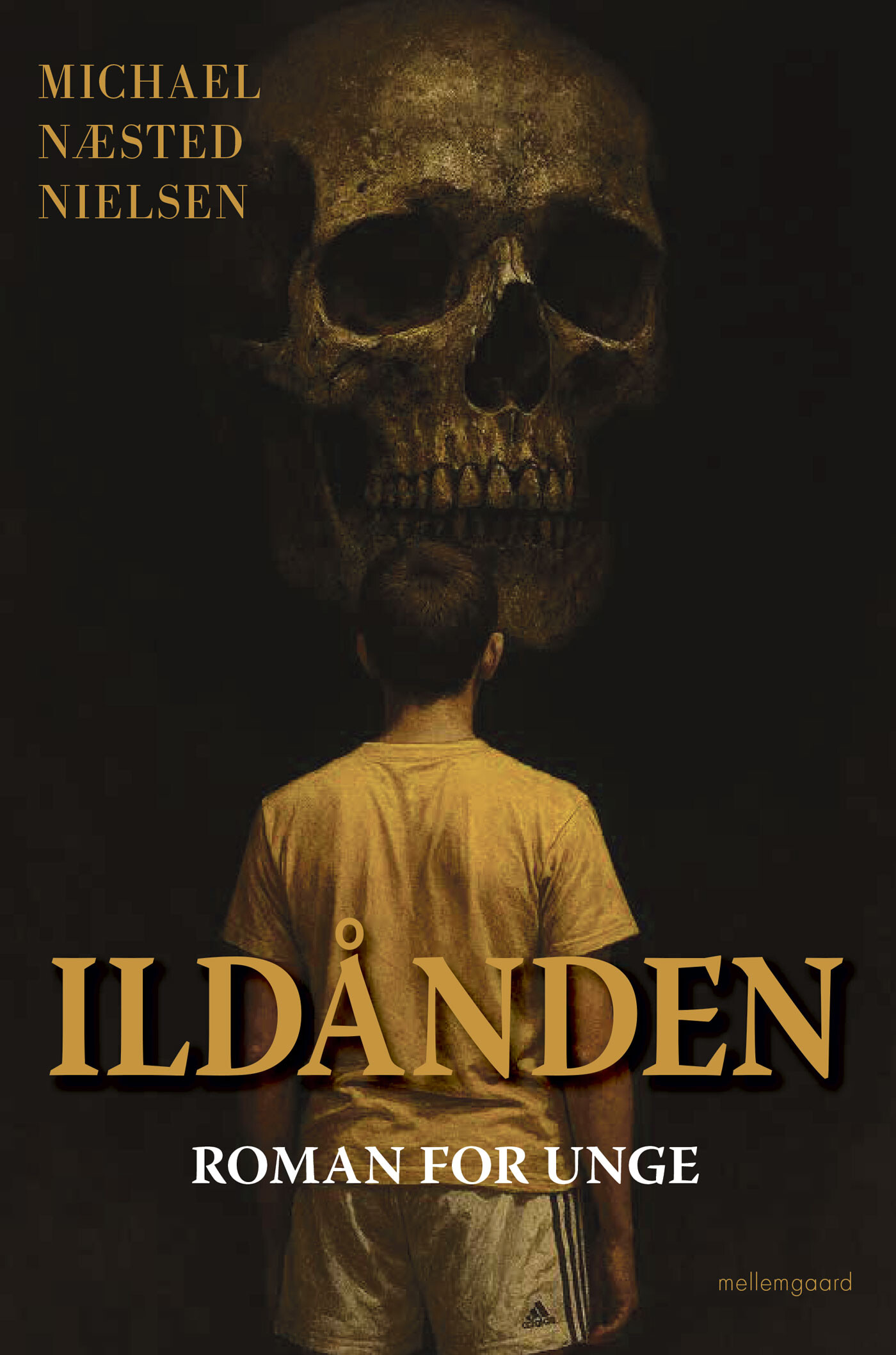 Ildånden - Michael Næsted Nielsen - Bog