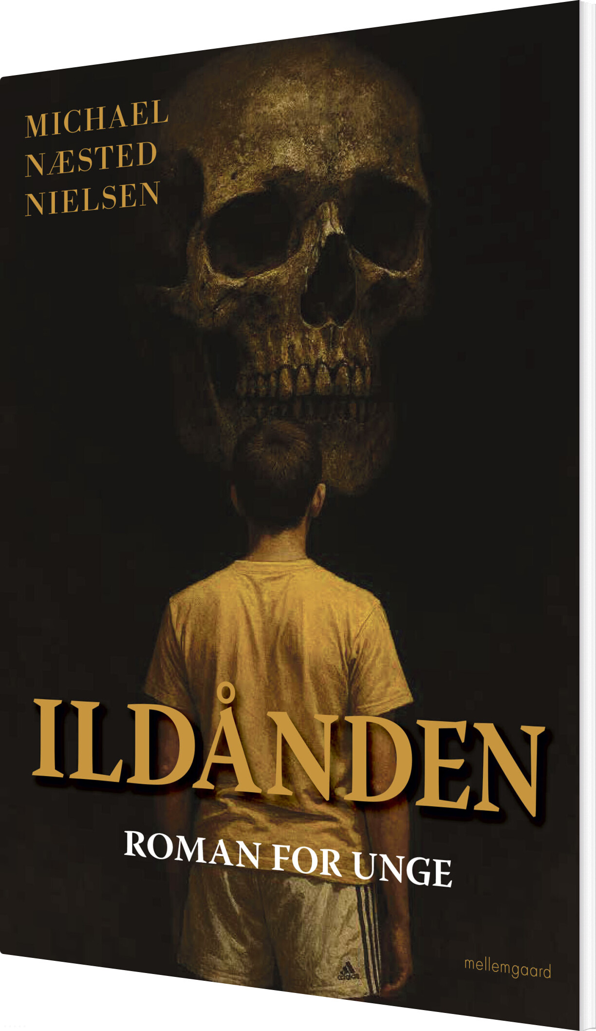 Ildånden - Michael Næsted Nielsen - Bog