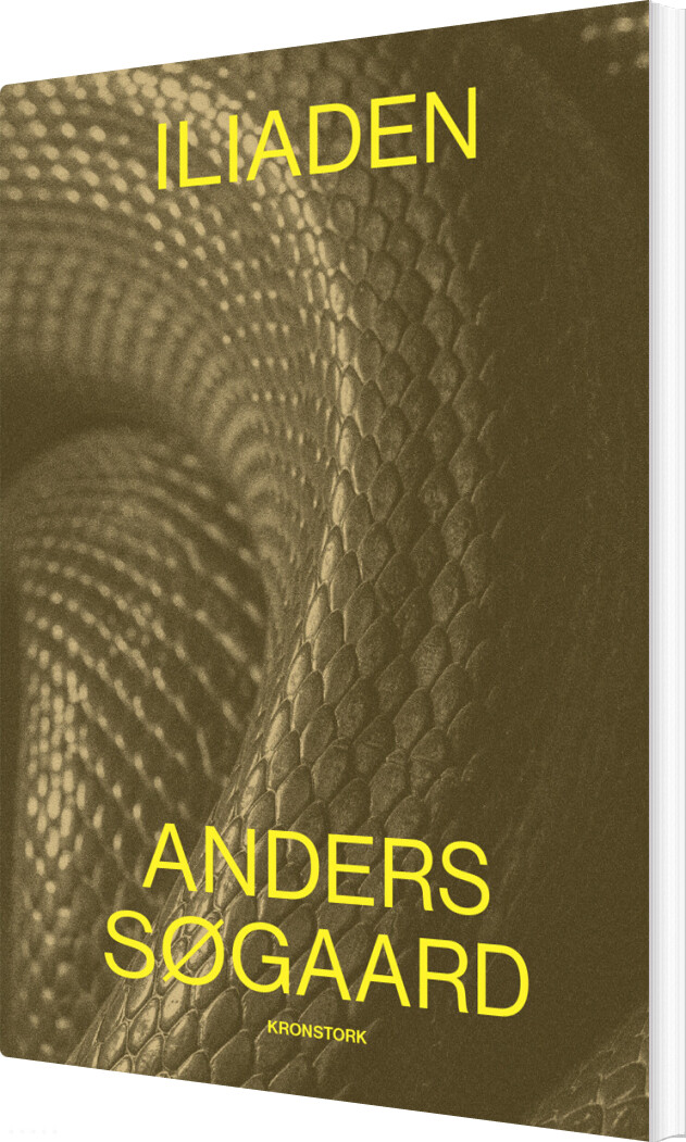 Billede af Iliaden - Anders Søgaard - Bog