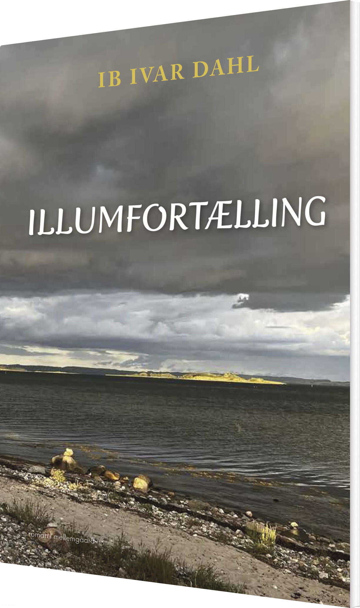 Illumfortælling - Ib Ivar Dahl - Bog