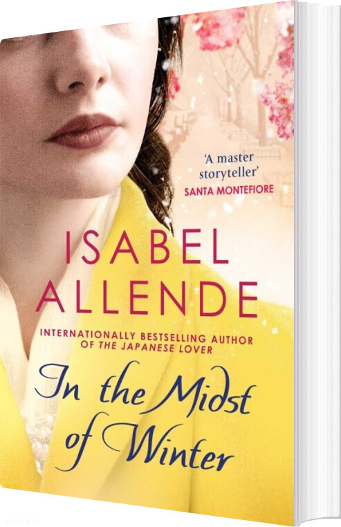 Billede af In The Midst Of Winter - Isabel Allende - English Book