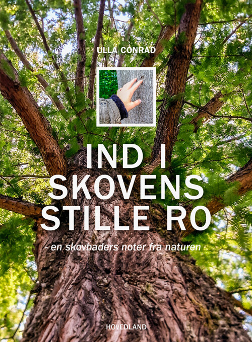 Billede af Ind I Skovens Stille Ro - Ulla Conrad - Bog