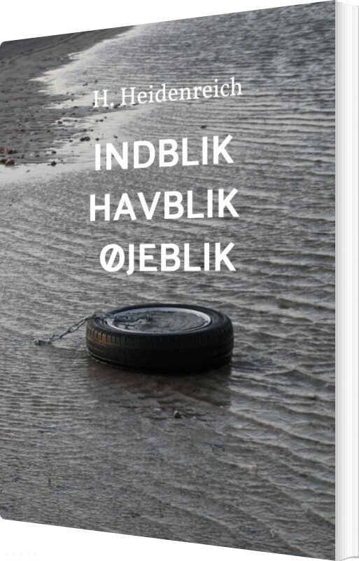 Billede af Indblik Havblik øjeblik - H. Heidenreich - Bog